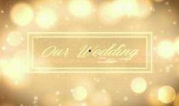 情感爆料素材视频大全